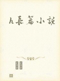 h长篇小说