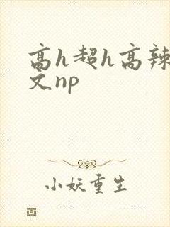 高h超h高辣h文np封面