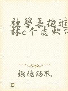 被学长抱进小树林c个爽软件