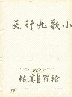 天行九歌小说