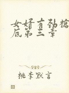 女婿有劲枪枪到底第三章