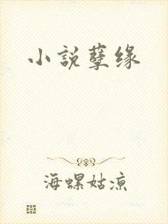 小说孽缘