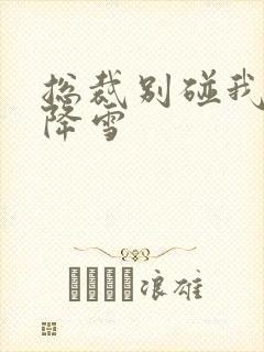 总裁别碰我 韩降雪