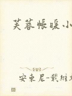 芙蓉帐暖小说封面