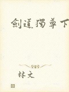 剑道独尊下载封面