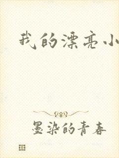 我的漂亮小后妈