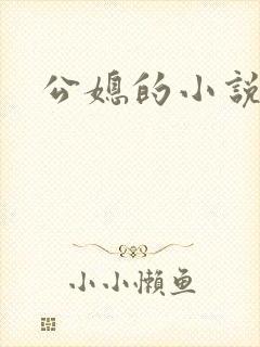 公媳的小说封面