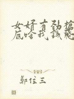 女婿有劲枪枪到底啥我钱飞了封面