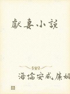 献妻小说封面