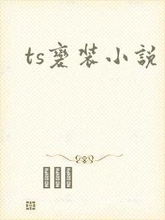 ts变装小说