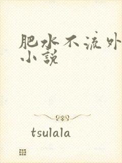 肥水不流外人田小说