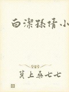 白洁孙倩小说封面