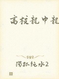 高校龙中龙