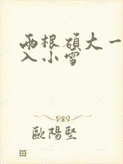 两根硕大一起挤入小雪