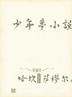 少年梦小说