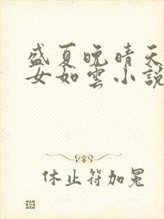 盛夏晚晴天之美女如云小说封面