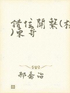 错位关系(校园)东哥