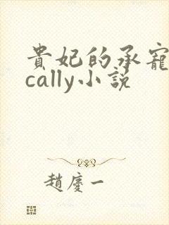 贵妃的承宠日常cally小说