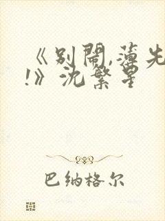 《别闹,薄先生!》沈繁星