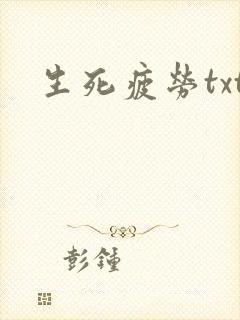 生死疲劳txt封面
