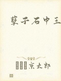 孽子石中玉