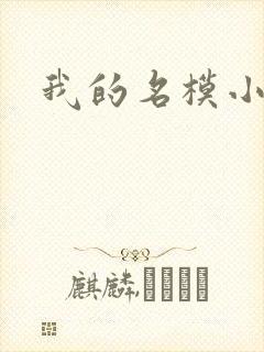 我的名模小娇妻