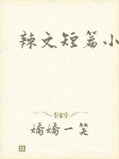 辣文短篇小说封面