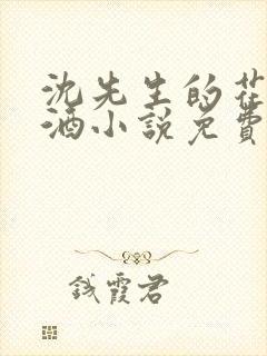 沈先生的花式调酒小说免费阅读