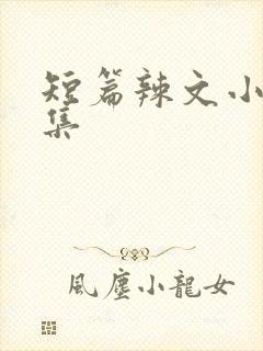 短篇辣文小说合集