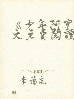 《少年阿宾》全文免费阅读封面