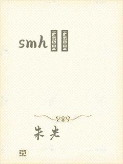 smhС˵封面