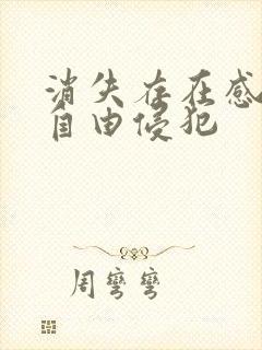 消失存在感消失自由侵犯