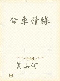 公车情缘
