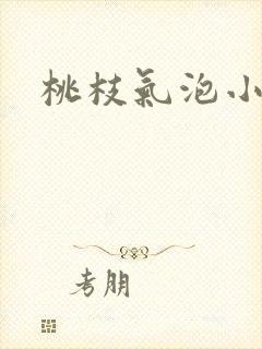 桃枝气泡小说封面