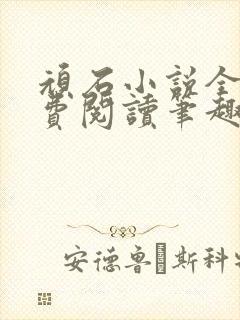 顽石小说全文免费阅读笔趣阁封面