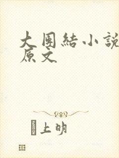 大团结小说阅读原文