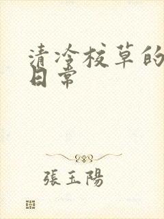 清冷校草的抹布日常