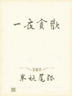 一夜贪欢