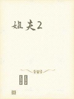 姐夫2