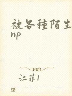 被各种陌生人 np