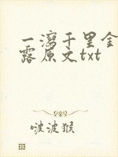 一泻千里金银花露原文txt