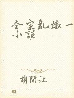 全家乱炖一锅烩小说封面