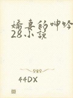 娇妻的呻吟1—28小说