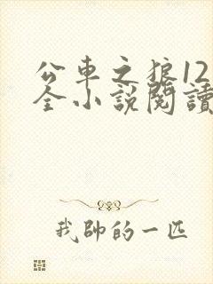 公车之狼12集全小说阅读