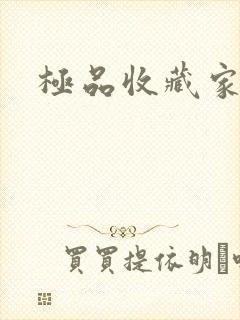 极品收藏家封面