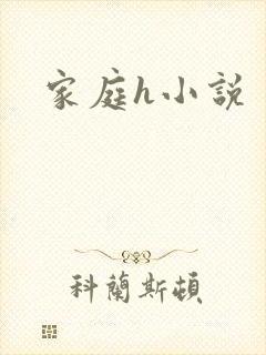 家庭h小说封面