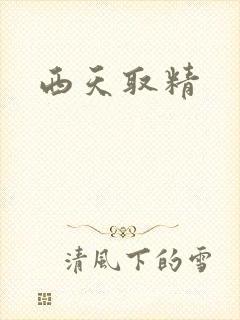 西天取精封面