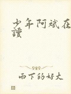 少年阿斌在线阅读