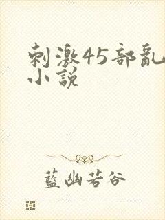 刺激45部乱亲小说封面