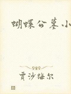 蝴蝶公墓小说封面